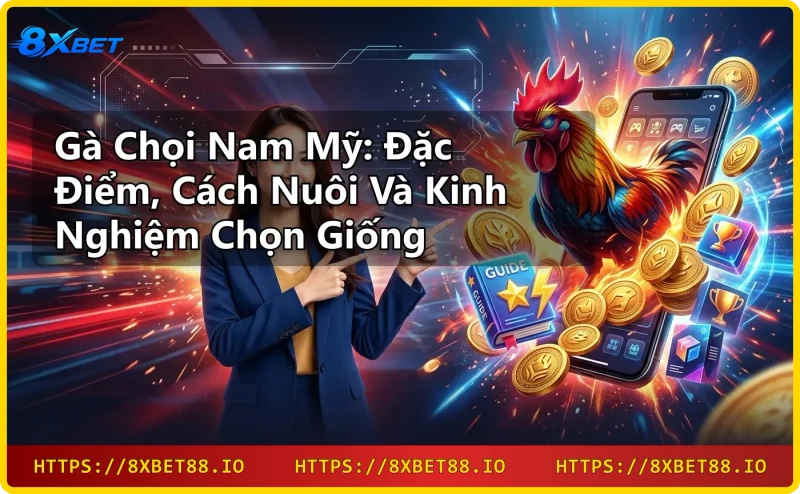 Cận cảnh đầu gà chọi nam mỹ American Game với lông óng ánh xanh dương và xanh lục